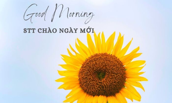 Stt Chao Ngay Moi Hai Huoc Tran Day Nang Luong