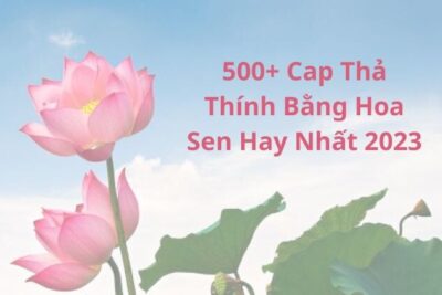 500+ Cap Thả Thính Bằng Hoa Sen Hay Nhất 2024