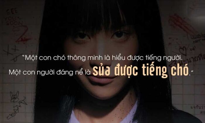 Stt Chui Loai Nguoi Song 2 Mat (1)