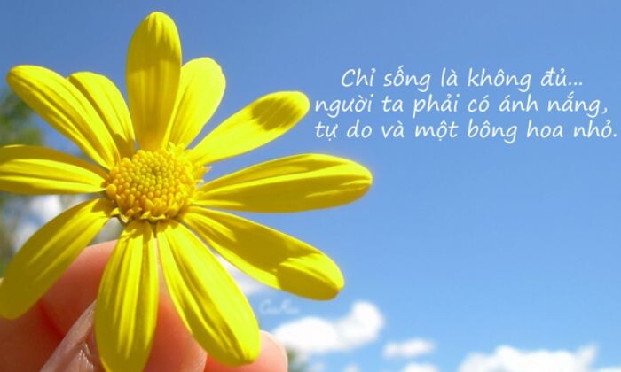 Stt Ve Nang Hay Trong Cuoc Song